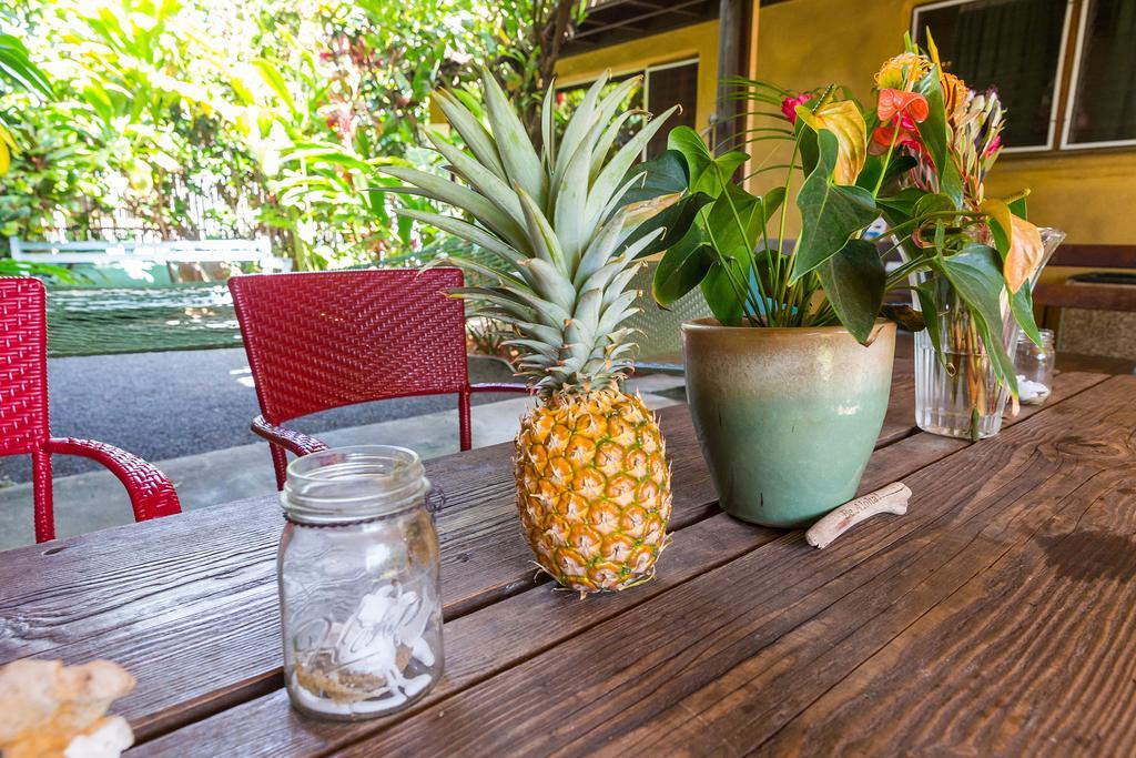 Nalu Kai Lodge Paia Hotel エクステリア 写真