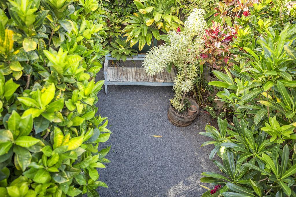 Nalu Kai Lodge Paia Hotel エクステリア 写真