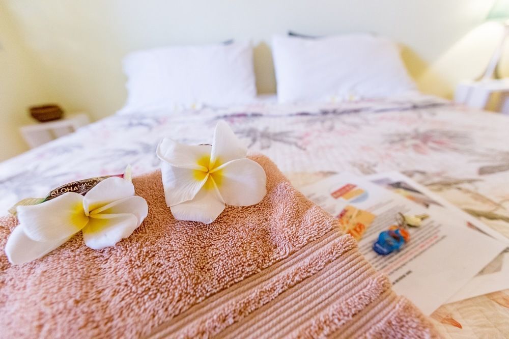 Nalu Kai Lodge Paia Hotel エクステリア 写真
