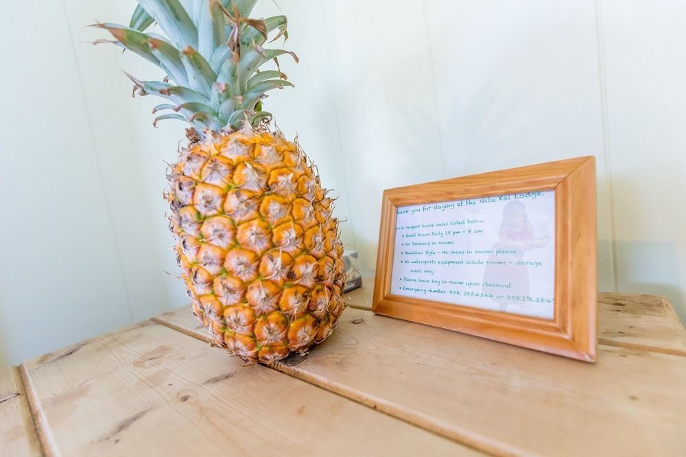 Nalu Kai Lodge Paia Hotel エクステリア 写真